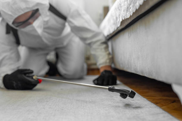 Professional Cockroach Control technician working in Scott County County, IL